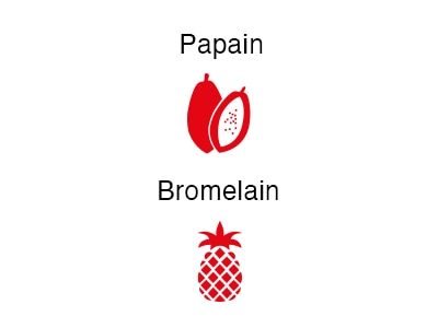 wobenzym_papain_bromelain